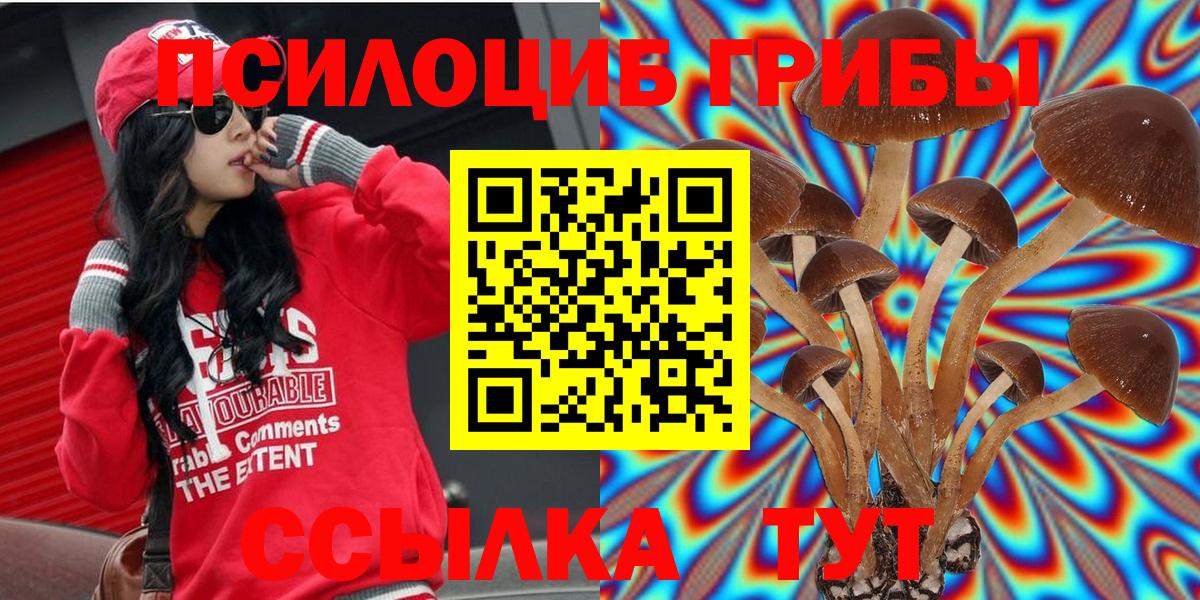 Хабаровск  Псилоцибиновые грибы MAGIC MUSHROOMS  Галлюциногенные грибы MAGIC MUSHROOMS  Вход с VPN 