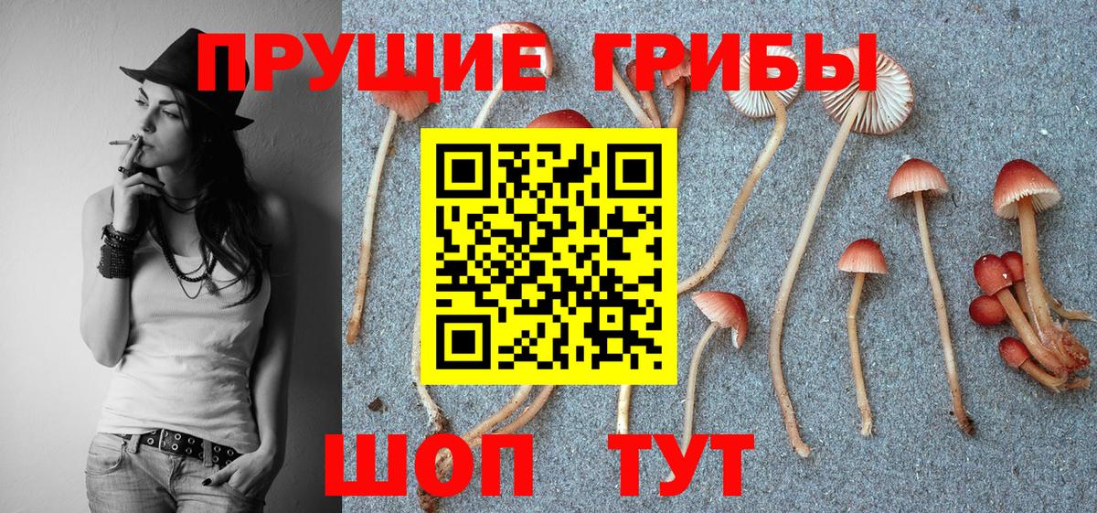 Галлюциногенные грибы Cubensis Хабаровск